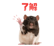 840211018