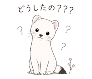 840211194