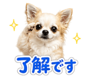 840211565