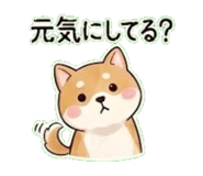 840211606