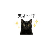 840212373