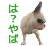 840213322