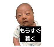 840213817