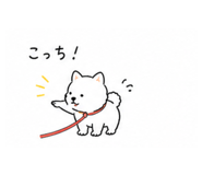 840214162
