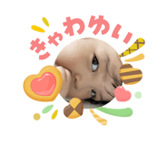 840214594