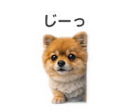 840214906