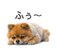 840214909