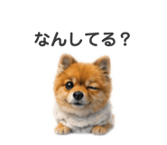 840214911