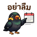 840223272