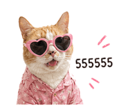 840223491
