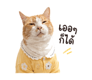 840223495