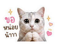 840223814