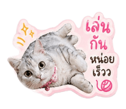840223819