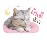 840223823