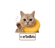 840224057