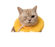 840224058