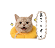 840224059