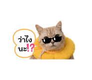 840224071