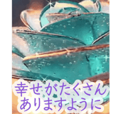 840224081