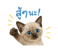 840224150