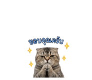 840224211