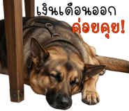 840224649
