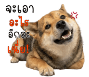 840224651