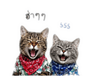 840224798
