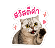 840225540
