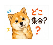 840226206