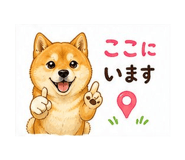 840226207