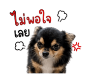 840226246
