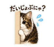 840226540