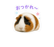 840226848