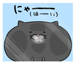 8402269