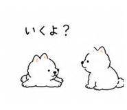 840227035