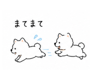 840227037
