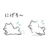 840227039