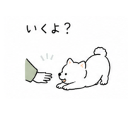 840227627