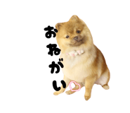 840227708