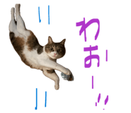 840228059
