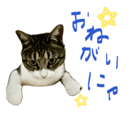 840228063