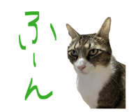 840228066