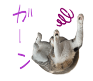 840228069