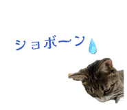 840228071