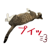 840228073