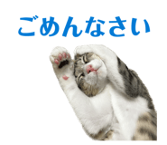 840228075