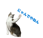 840228076