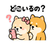 840228629
