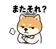 840228812